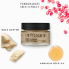Odylique by Essential Care organiczny kremowy podkład do makijażu z filtrem mineralnym SPF 25 kolor Fair Rosy, 30 ml